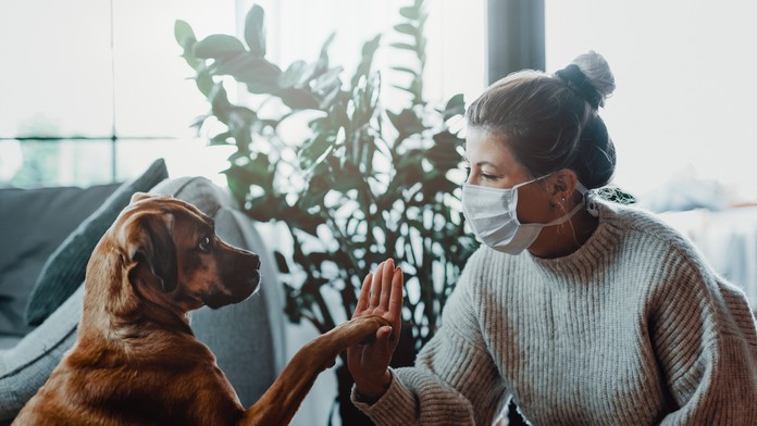 Ilustračná snímka