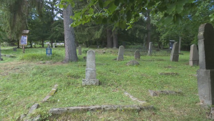 Vizualizácia nového sídliska v Petržalke.