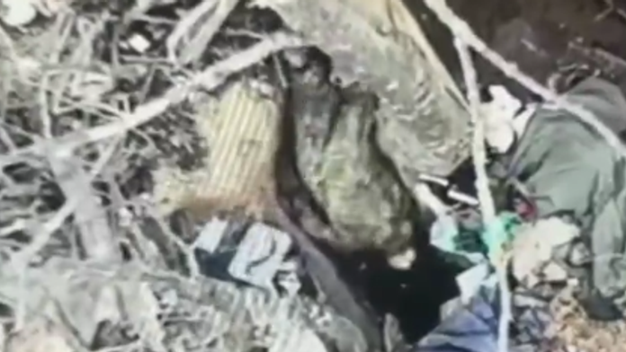 VIDEO: V ústrety k jasnému osudu. Ruský vojak skočil do zákopu, kam tesne predtým dopadol granát