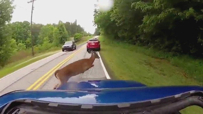 Ilustračná snímka 