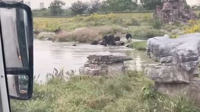 17 SK pripravy Bardejov_tvnoviny.mp4