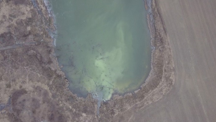 Ťakov potok, ktorý sa vlieva do jazera.