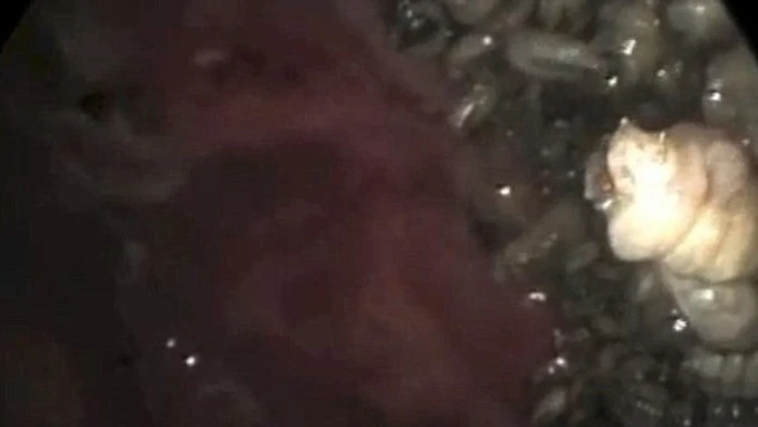 2702B42500000578-0-image-a-2_1427366079302.jpg