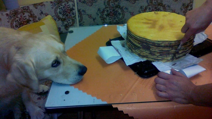 Heidi a torta