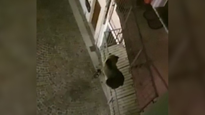 Ilustračná snímka.