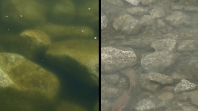 Untitled Sequence.04web_jpg_bez_watermarku_1.jpg