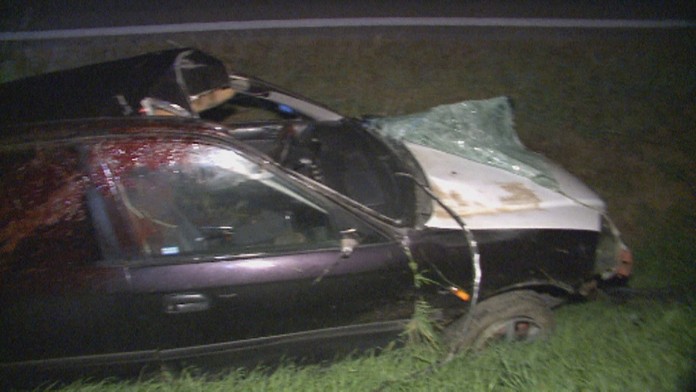 Auto po zrážke s jeleňom.