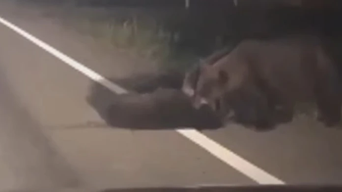 Miňo a Zuzka