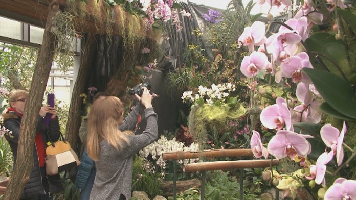 Výstava zapôsobí na všetky vaše zmysly. 