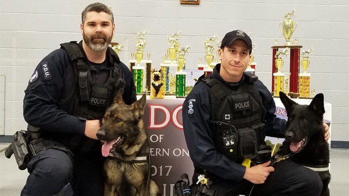 Kanadskí policajti vo Windsore majú dva nové nemecké ovčiaky zo Slovenska a Česka.