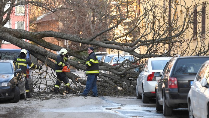 0103_SUPERSTAR_01_03_P50_Ne_20_30__12.mp4