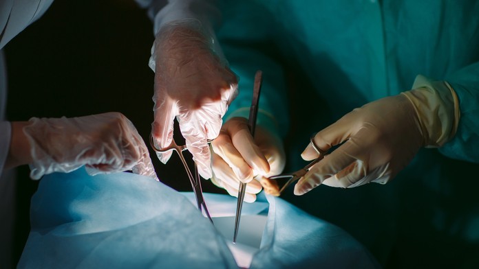 Jednému psíkovi sa podarilo utiecť a už sa aj našiel.