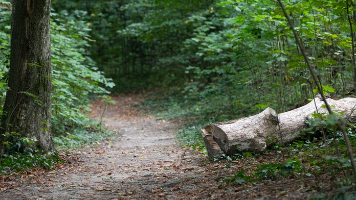 Braden Holtby z Washingtonu proti Vancouveru.