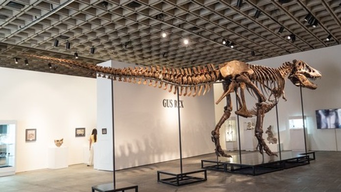 Padol nový rekord. Kostru tyranosaura vydražili za astronomickú sumu