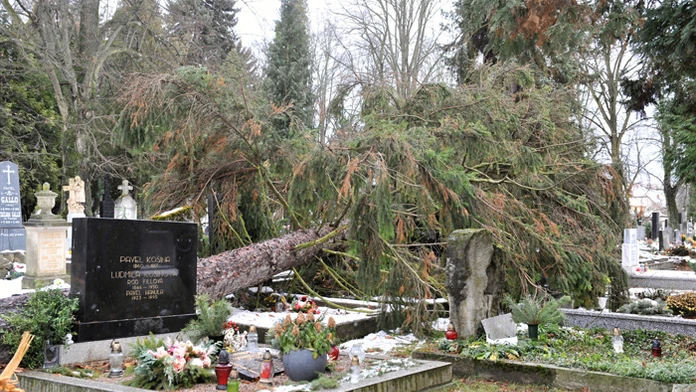 Spadnutý strom po veternej smršti na Národnom cintoríne v Martine.