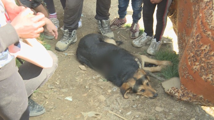 August 2020 - hlavné večerné spravodajstvo