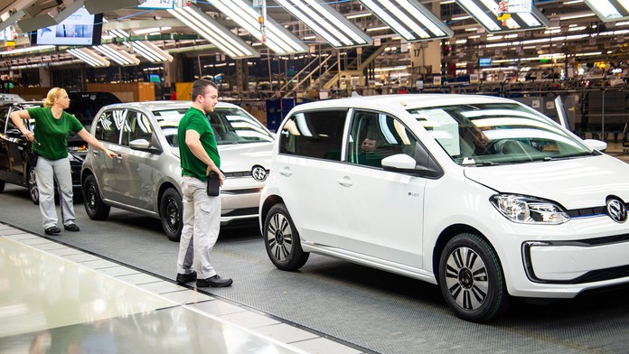 Pestrec mariánsky (lat. Silybum marianum).