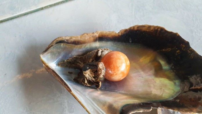 XMKIKCXYYZST-high_1080p.mp4