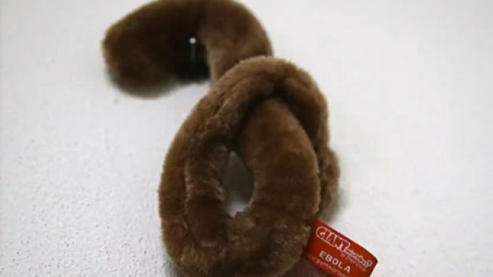 Americká spoločnosť Giant Microbes predáva plyšové hračky v podobe vírusu ebola.