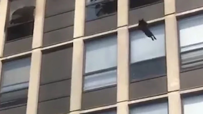 Záber z videa,
