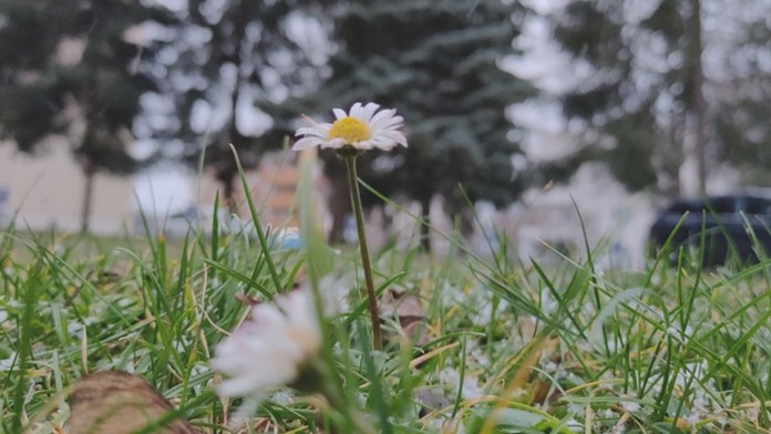 19_ferencakova_lucansky_tvnoviny.mp4