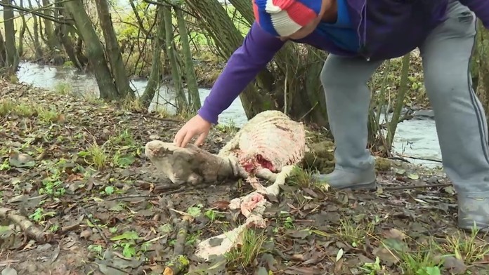 Milan Kňažko a Ján Budaj v roku 1989 