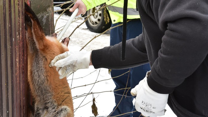 Ilustračná snímka.