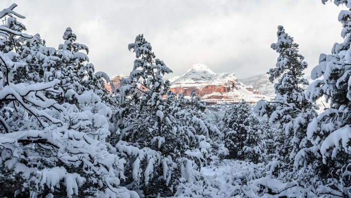 Čoraz teplejšie zimy mnohých netešia. Klimatológovia vysvetlili, či ešte vôbec zažijeme biele Vianoce