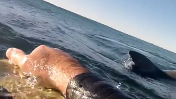 Craiga Batemana zaskočila plutva.