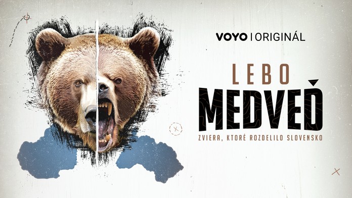 Lebo medveď