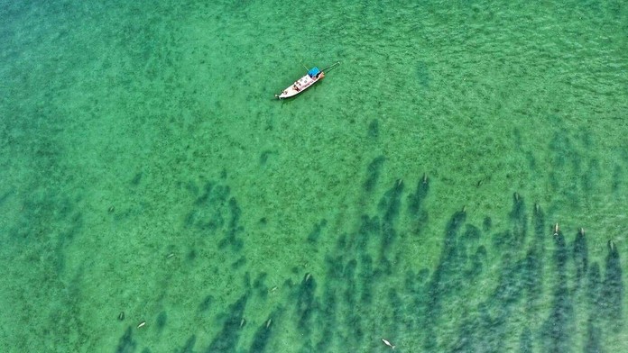 Tragická nehoda v Čečejovciach.