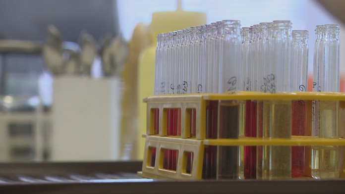 Slovensko má najkvalitnejšie potraviny. Podľa testov obsahujú omnoho menej chémie ako v zahraničí