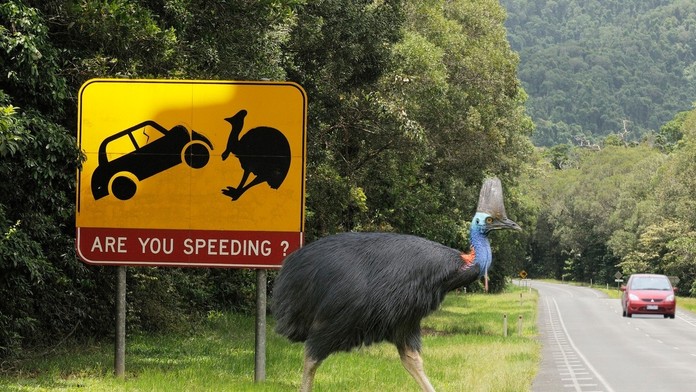 Najvtipnejšie dopravné značky 