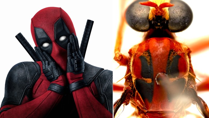 Na telo plus - s Gáborom Grendelom a Petrom Pellegrinim