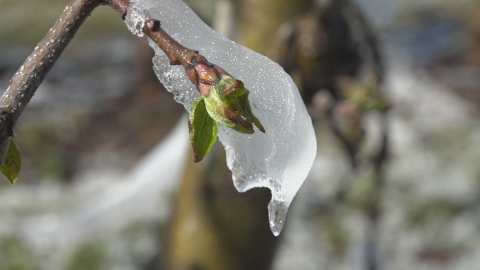 Policajta z Trenčína, ktorý kryl dnes už odsúdeného kriminálnika, odsúdili.