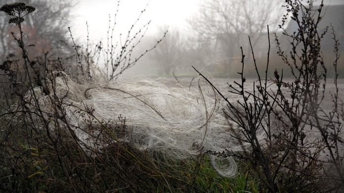 Donbas pokryla smrtiaca pavučina. Obrovský problém, s ktorým sa Ukrajina bude boriť ešte veľa rokov po vojne