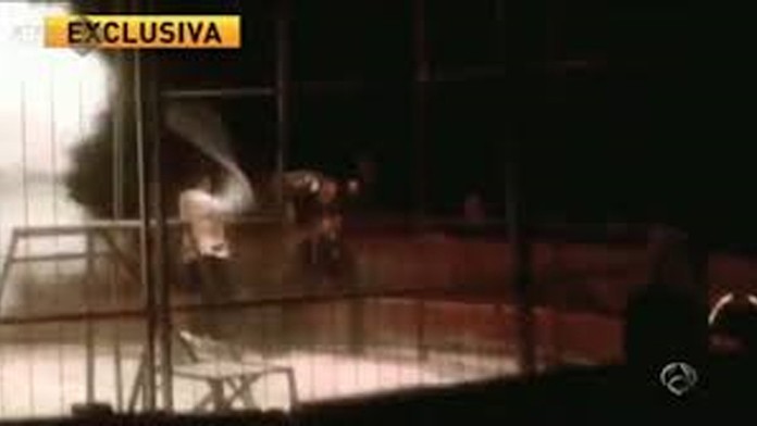 Tiger napadol cvicitela