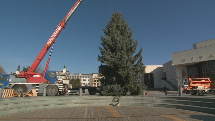 Vianočný stromček v Nitre