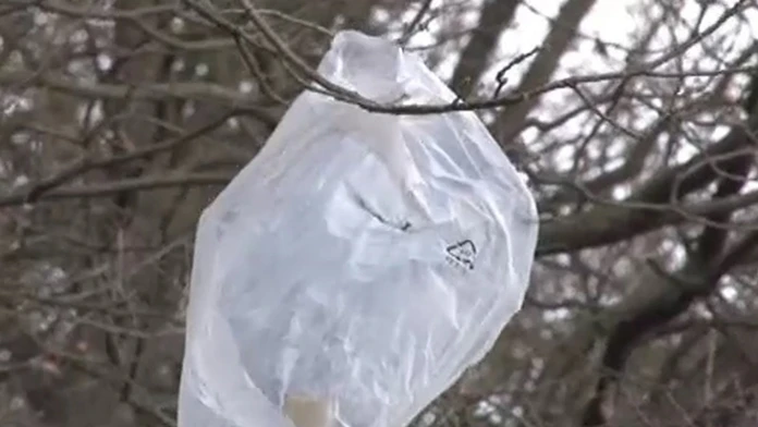 sacok.jpg