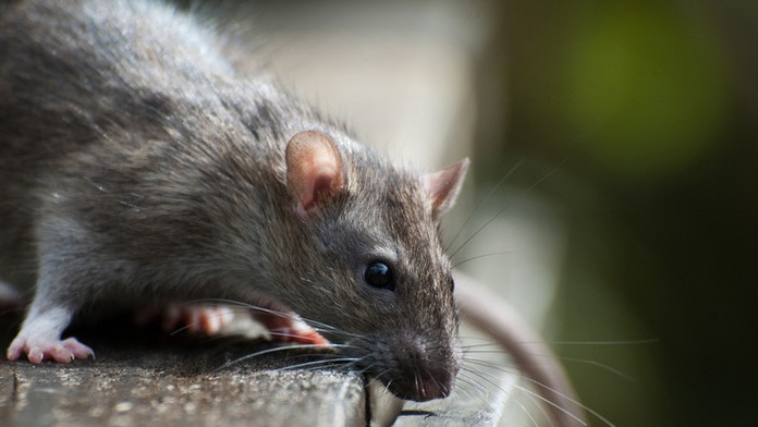 Ilustračná snímka.