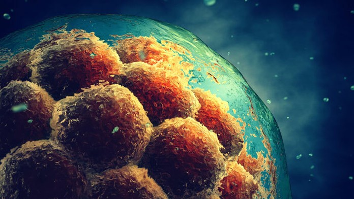 Ilustračná snímka