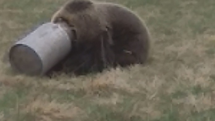 Richard Harris ako Albus Dumbledore