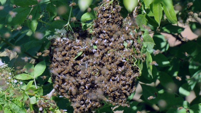 Premiér Igor Matovič.