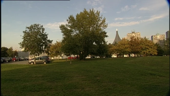 fotodubravka1web_jpg_bez_watermarku_1.jpg