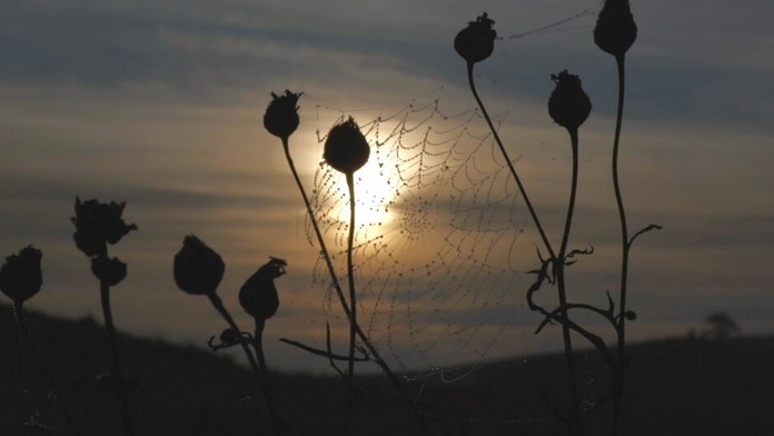 Babie leto. Ilustračná snímka. 
