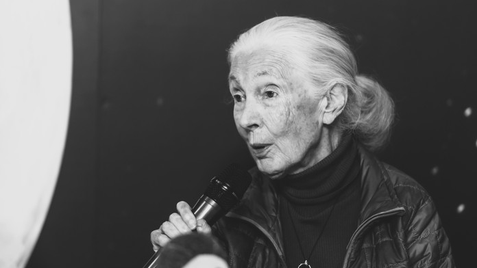 Zomrela svetoznáma biologička Jane Goodallová (†91). Svoj život zasvätila šimpanzom