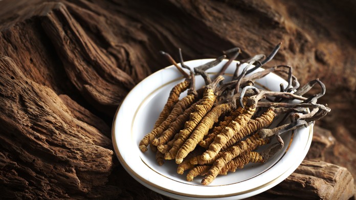 Cordyceps sinensis ako prísada do jedla aj ako liek