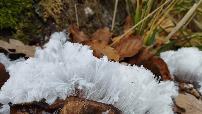 OBRAZOM: V Bratislave objavili vzácny úkaz známy ako ľadová vata