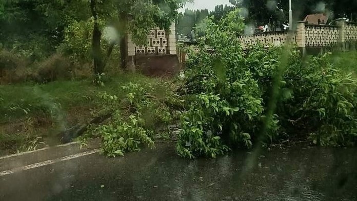 Silné búrky komplikujú dopravu. Na cestách sú popadané stromy, viaceré vlaky meškajú