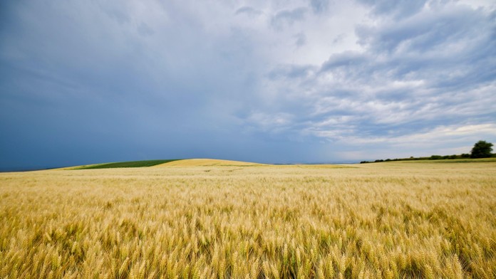 Vytúžená zmena počasia poteší najmä záhradkárov. Úmorné sucho zmierni niekoľko vĺn zrážok